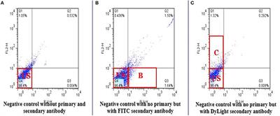 Retained Acetylated Histone Four in Bull Sperm Associated With Fertility